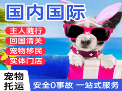 株洲芦淞机场邮寄国际宠物托运 【国